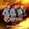 Grandes De Sinaloa - Guitarras y Tubas: En Vivo Desde Concordia Sinaloa